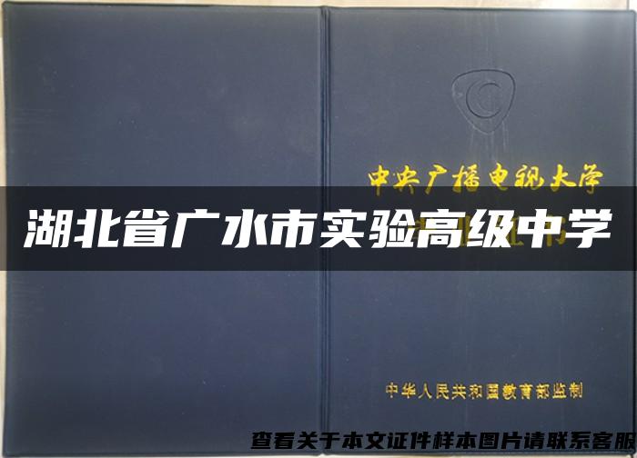湖北省廣水市實驗高級中學