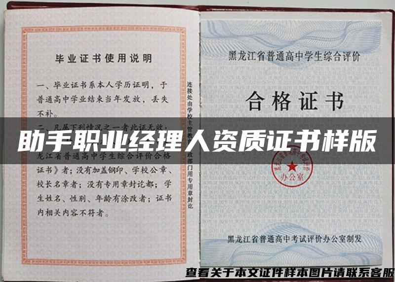 助手職業經理人資質證書樣版