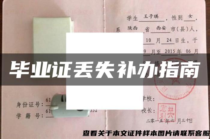 畢業證丟失補辦指南