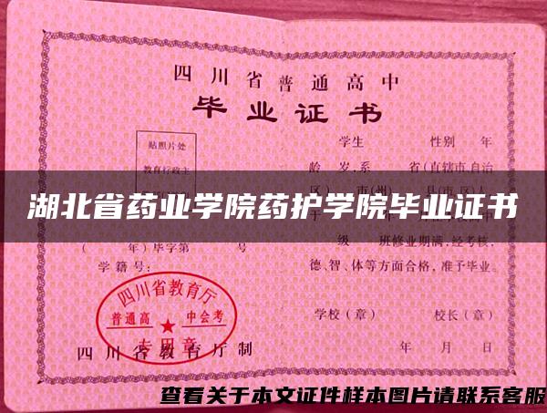 湖北省藥業學院藥護學院畢業證書