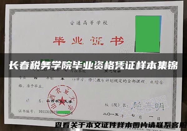 長春稅務學院畢業資格憑證樣本集錦