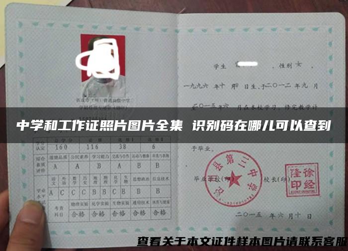 中學和工作證照片圖片全集 識別碼在哪兒可以查到