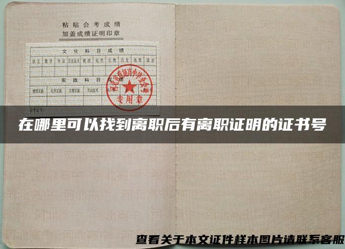 在哪里可以找到離職后有離職證明的證書號