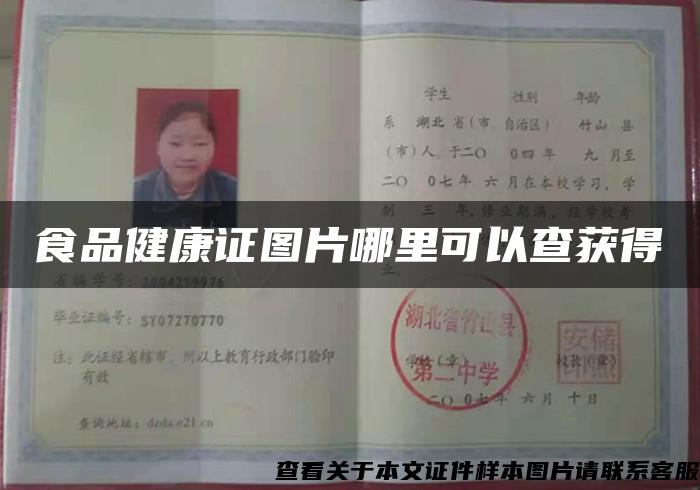 食品健康證圖片哪里可以查獲得