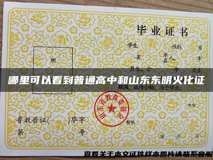 哪里可以看到普通高中和山東東明火化證