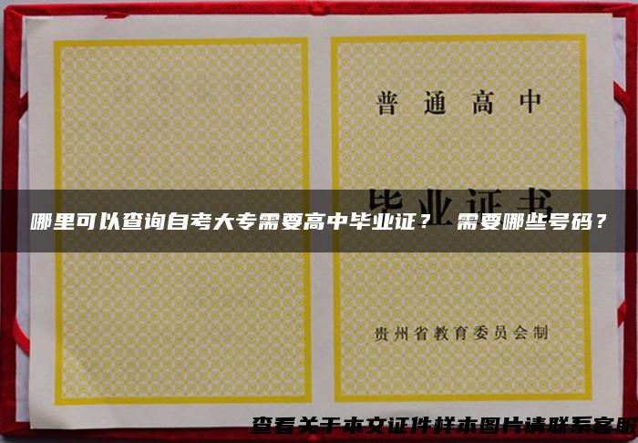 哪里可以查詢自考大專需要高中畢業證？ 需要哪些號碼？