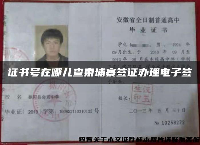 證書號在哪兒查柬埔寨簽證辦理電子簽