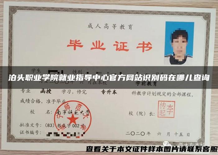 泊頭職業學院就業指導中心官方網站識別碼在哪兒查詢