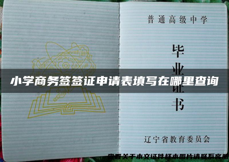 小學商務簽簽證申請表填寫在哪里查詢