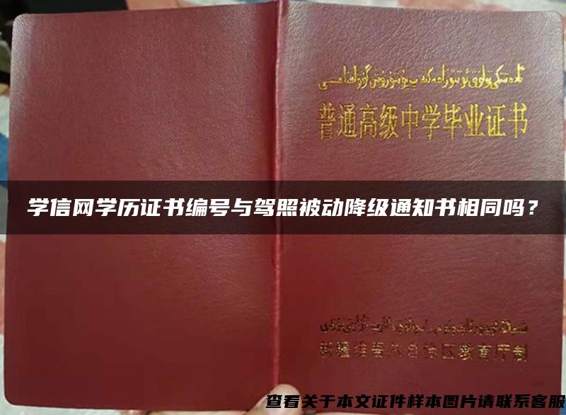 學信網學歷證書編號與駕照被動降級通知書相同嗎？