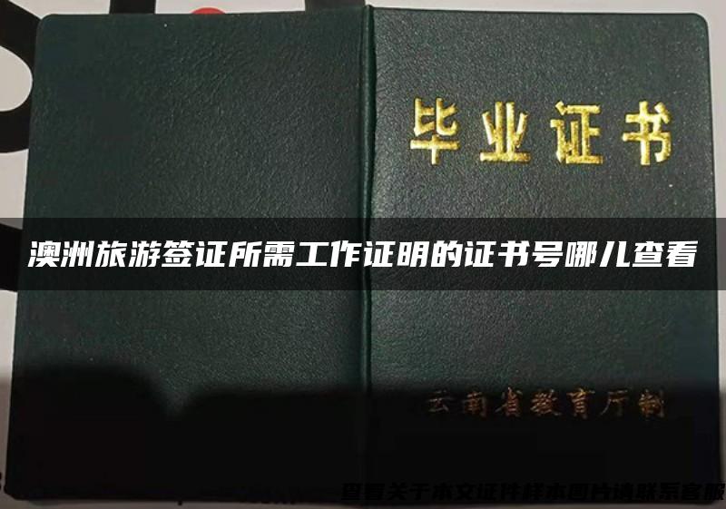 澳洲旅游簽證所需工作證明的證書號哪兒查看