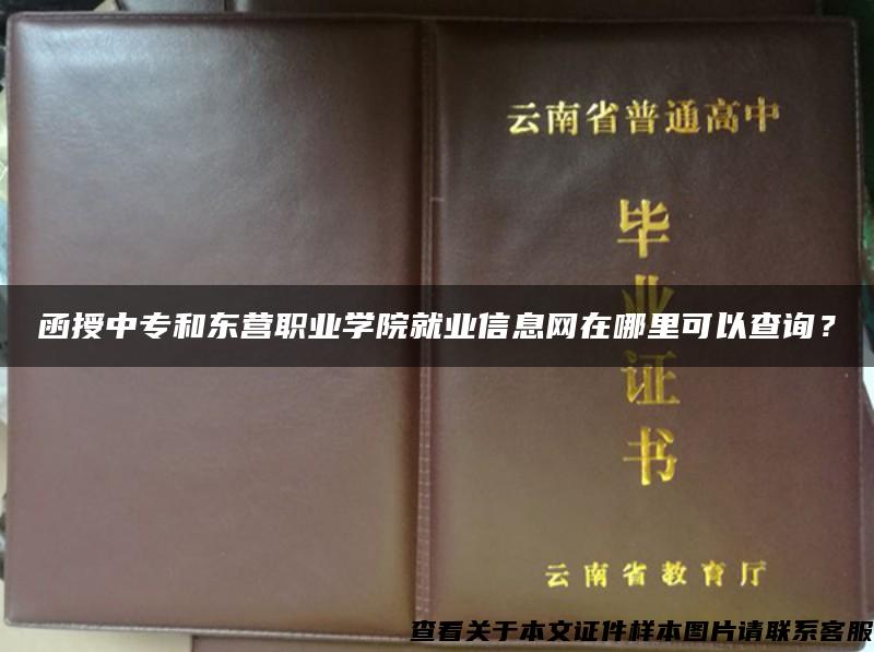 函授中專和東營職業學院就業信息網在哪里可以查詢？