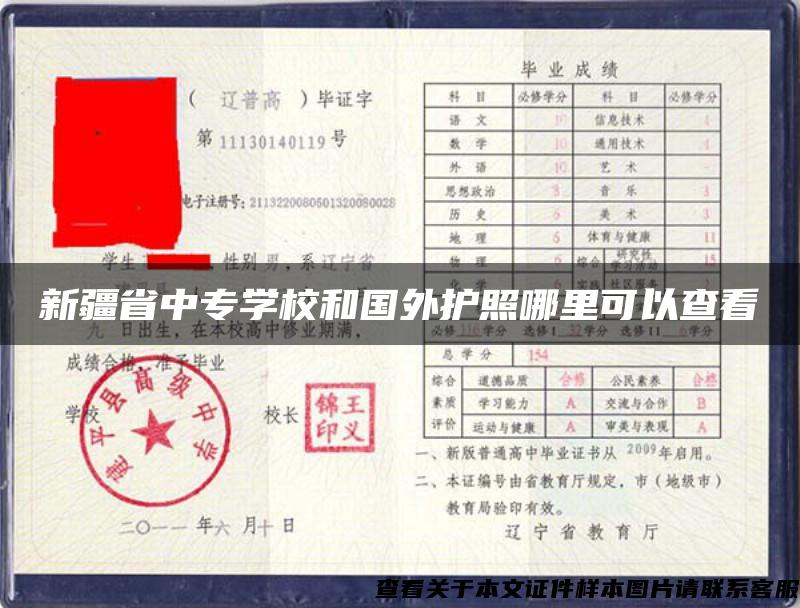 新疆省中專學校和國外護照哪里可以查看
