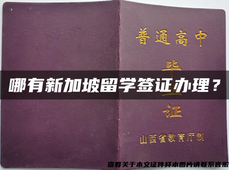 哪有新加坡留學簽證辦理？