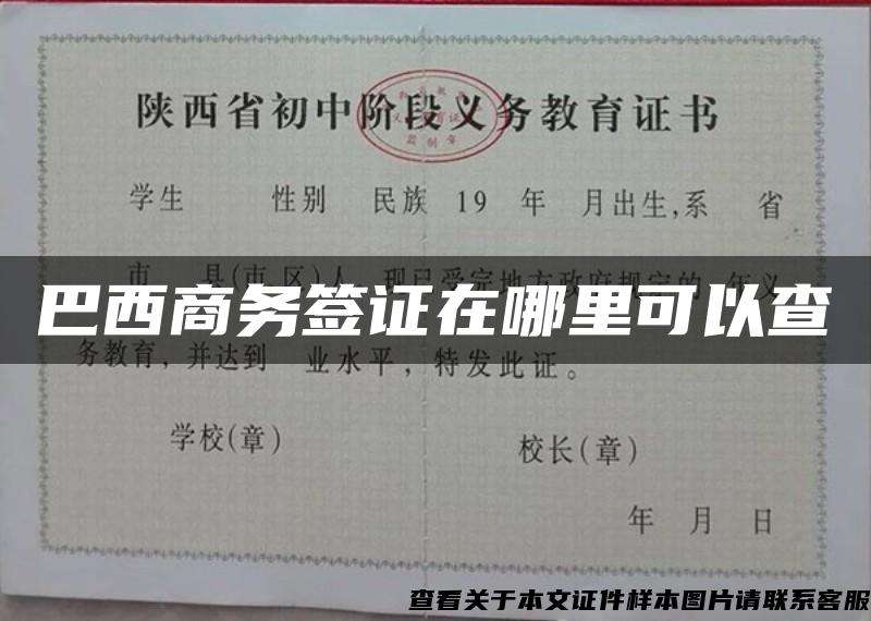 巴西商務簽證在哪里可以查