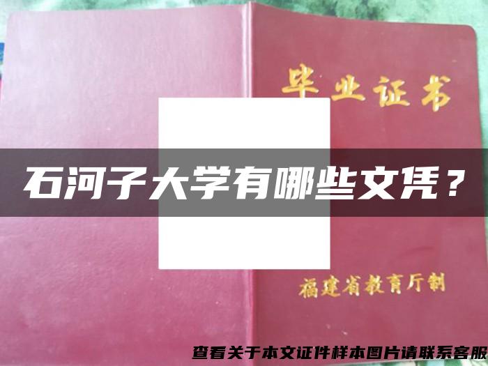 石河子大學有哪些文憑？