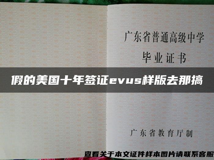 假的美國十年簽證evus樣版去那搞