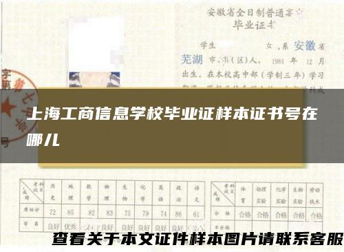 上海工商信息學校畢業證樣本證書號在哪兒