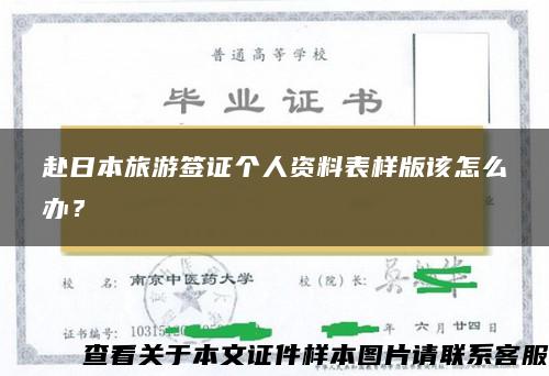赴日本旅游簽證個人資料表樣版該怎么辦？