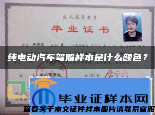 純電動汽車駕照樣本是什么顏色？