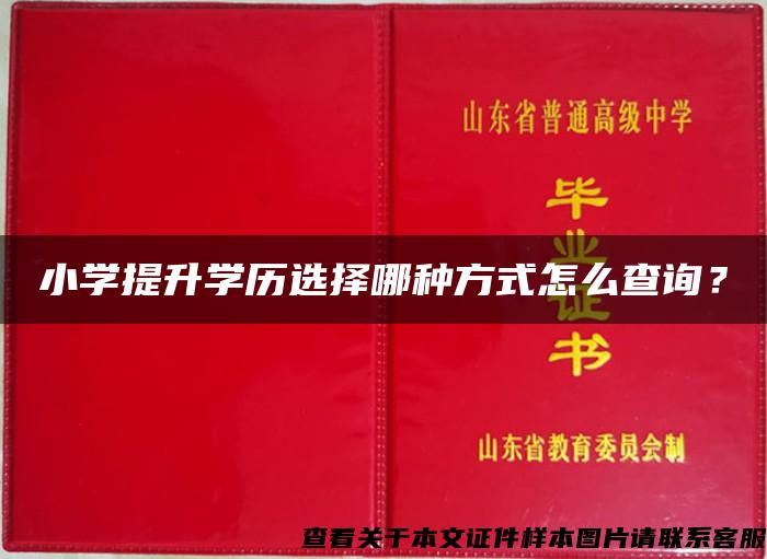 小學提升學歷選擇哪種方式怎么查詢？