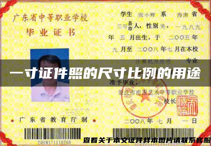 一寸證件照的尺寸比例的用途