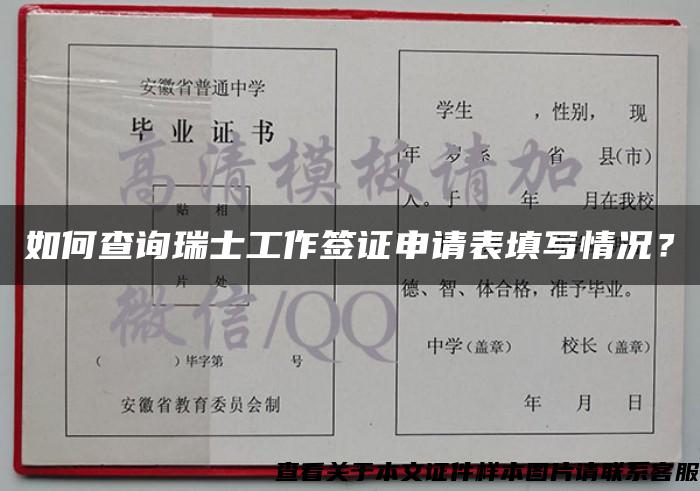 如何查詢瑞士工作簽證申請表填寫情況？