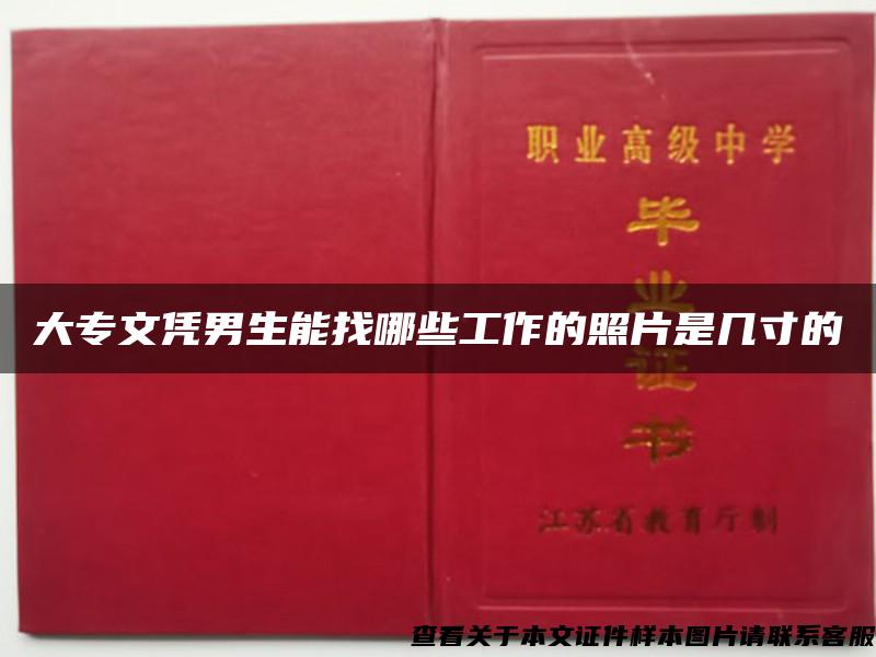 大專文憑男生能找哪些工作的照片是幾寸的