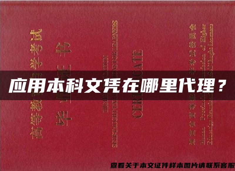 應用本科文憑在哪里代理？