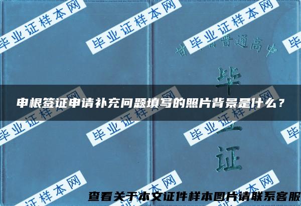 申根簽證申請補充問題填寫的照片背景是什么？