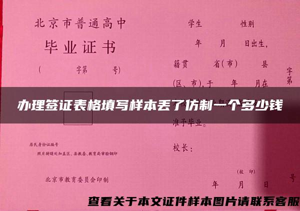 辦理簽證表格填寫樣本丟了仿制一個多少錢