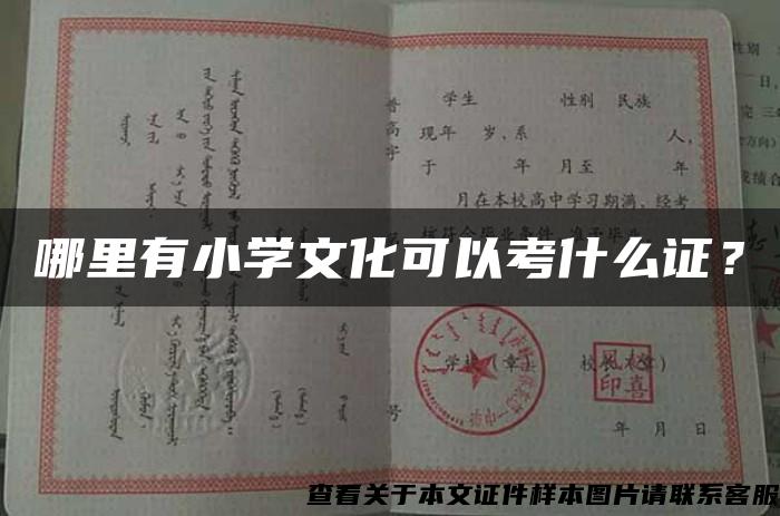 哪里有小學文化可以考什么證？
