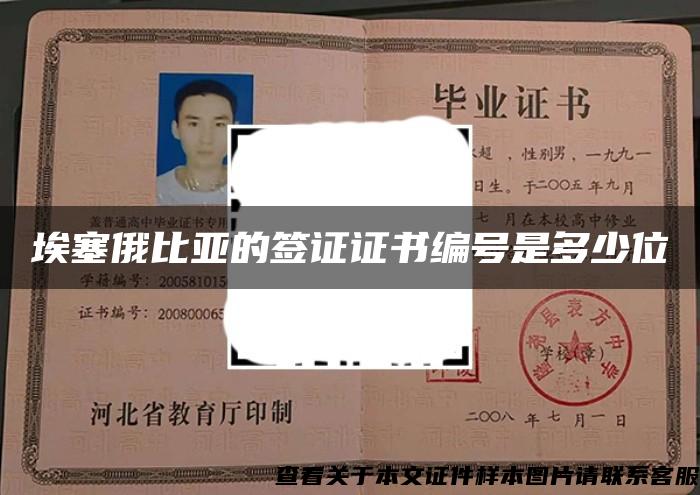 埃塞俄比亞的簽證證書編號是多少位