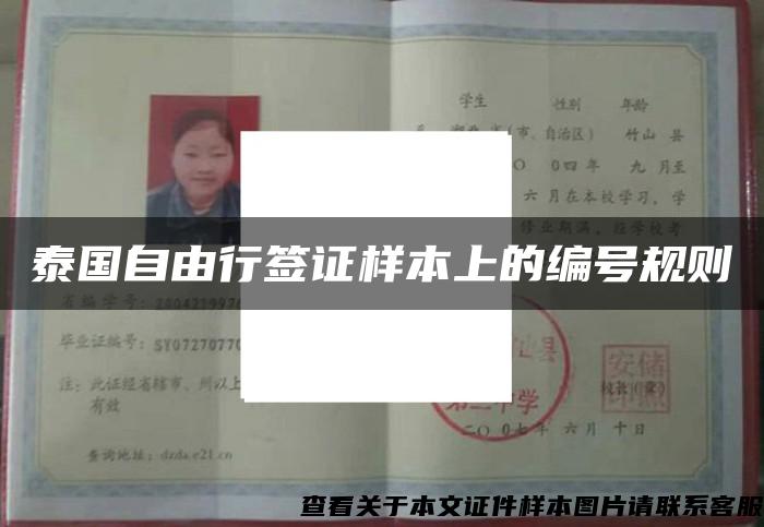 泰國自由行簽證樣本上的編號規則