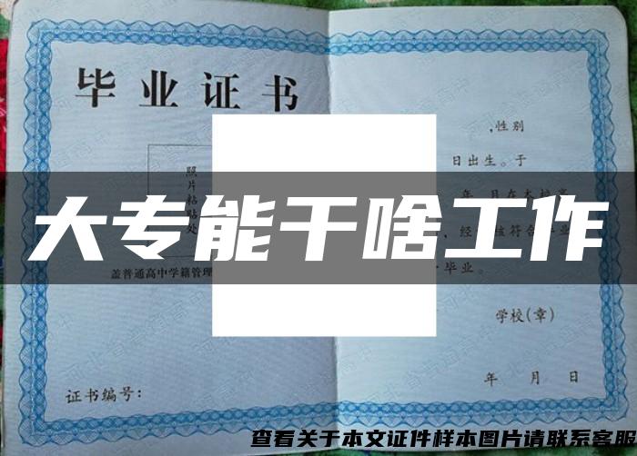 大專能干啥工作