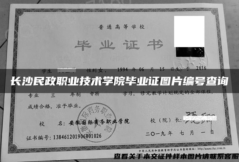 長沙民政職業技術學院畢業證圖片編號查詢