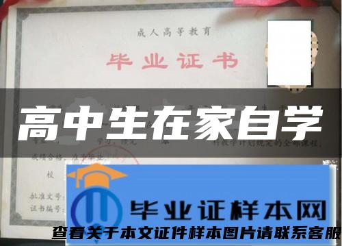 高中生在家自學