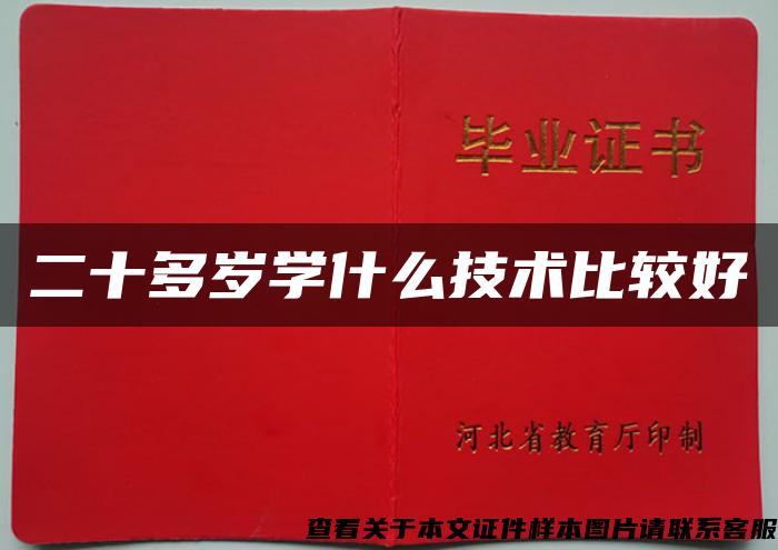 二十多歲學什么技術比較好
