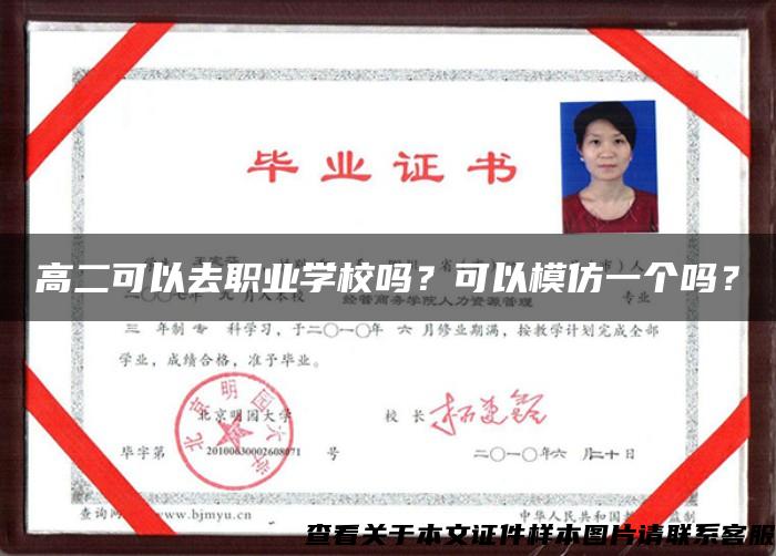 高二可以去職業學校嗎？可以模仿一個嗎？