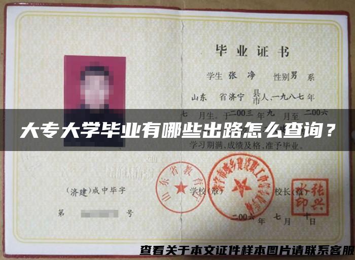 大專大學畢業有哪些出路怎么查詢？