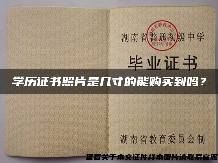 學歷證書照片是幾寸的能購買到嗎？
