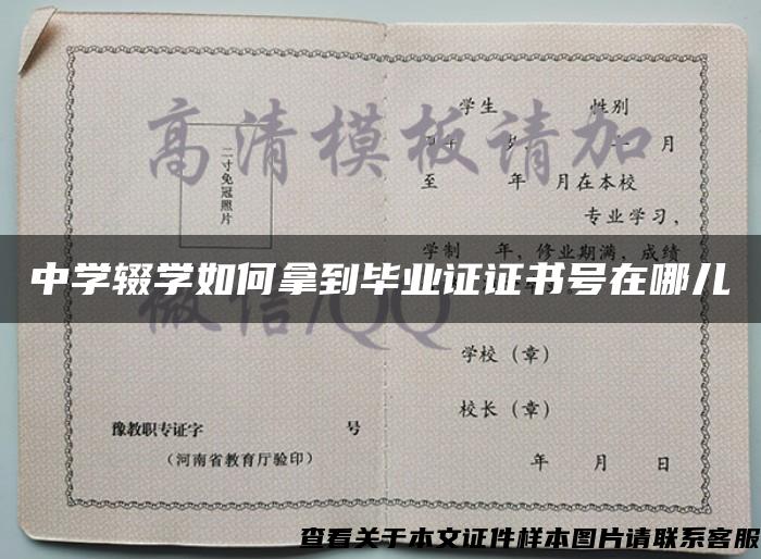 中學輟學如何拿到畢業證證書號在哪兒