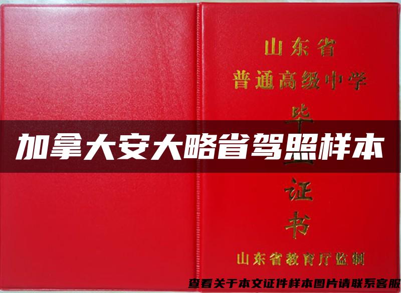 加拿大安大略省駕照樣本