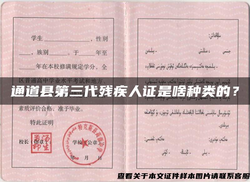 通道縣第三代殘疾人證是啥種類的？