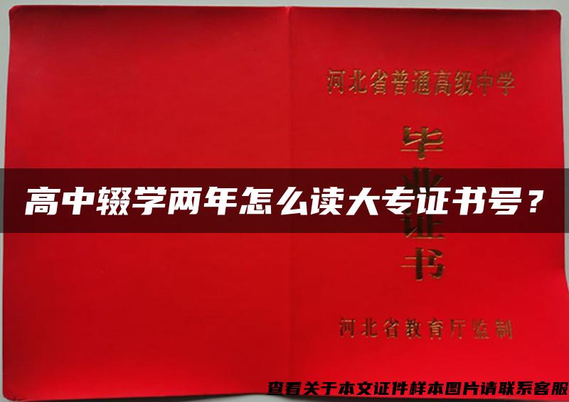 高中輟學兩年怎么讀大專證書號？