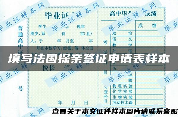 填寫法國探親簽證申請表樣本