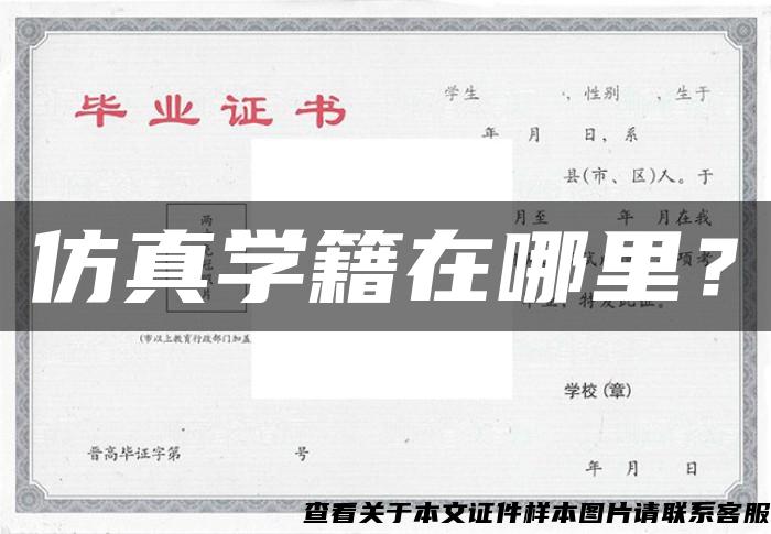 仿真學籍在哪里？