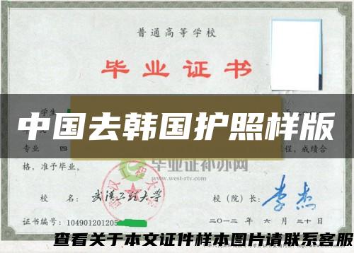 中國去韓國護照樣版