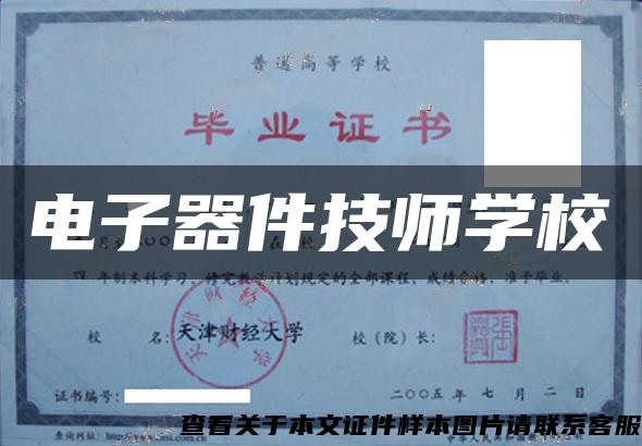 電子器件技師學校