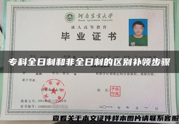 ?？迫罩坪头侨罩频膮^別補領步驟